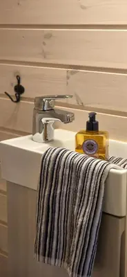a bathroom sink with a soap dispenser and a towel at Well-Equipped Cabin Near Rauland Alpine Centre in Rauland