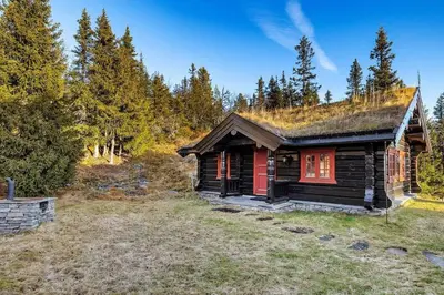 a log cabin with a grass roof at Log cabin in Valdres Fireplace Sauna 1000 m above sea level in Aurdal