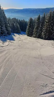 a snow covered slope with trees in the background at Log cabin in Valdres Fireplace Sauna 1000 m above sea level in Aurdal
