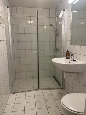 a bathroom with a shower and a sink and a toilet at Romslig toppleilighet 134 kvm med balkong perfekt for firma og grupper in Beitostøl
