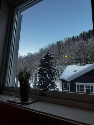 a window with a view of a snow covered tree at Oppheim Mountain Resort - Pool, Sauna & Lake! in Vossevangen