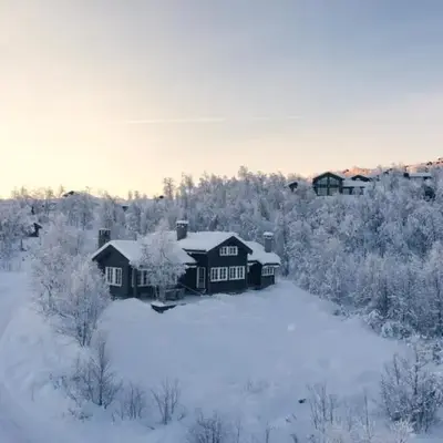 Luxury cabin in the mountains