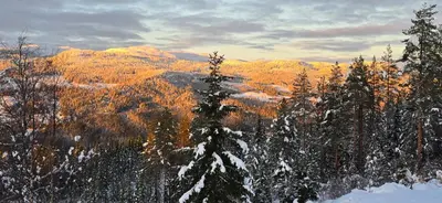 a view of a mountain with snow and trees at Smia cabin , A Unique Rustic Hideaway in Lii