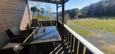 a dog in a pool on the balcony of a house at Sunset Cabin in Ålesund