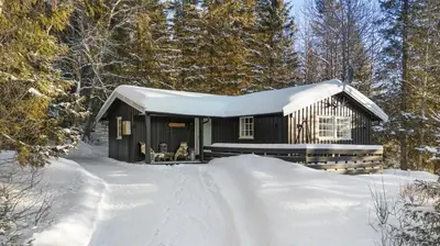 a black cabin in the snow with snow covered trees at Hjemmekoselig Hytte Ved Øyangen in Beitostøl