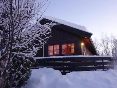 a cabin in the snow with a tree at Familievennlig Hytte Rett Ved Sentrum in Beitostøl