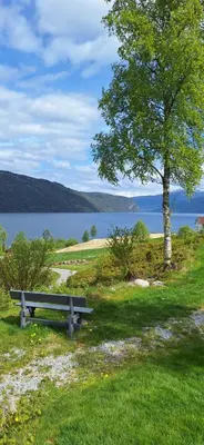 a park bench sitting in the grass next to a tree at Nordfjordcabins BLUE in Utvik