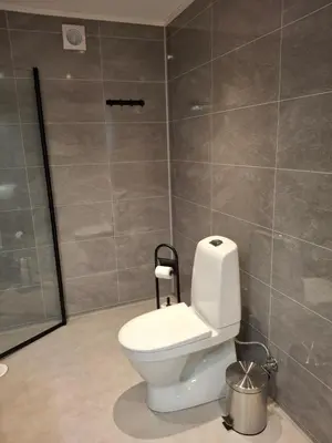 a bathroom with a toilet and a shower at Bjørgebu Camping AS in Nord-Fron