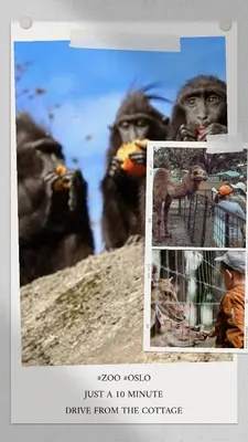 a collage of pictures of monkeys standing on a hill at Romantic Getaway Hot Tub, Cinema & View in Stange