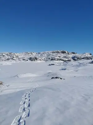 a snow covered field with footprints in the snow at Botn Fjellstue in Botn