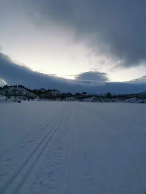 a snow covered field with tracks in the snow at Botn Fjellstue in Botn