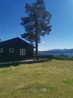 a black cabin with a tree in a field at Åsrud seter i Jotunheimen in Randsverk