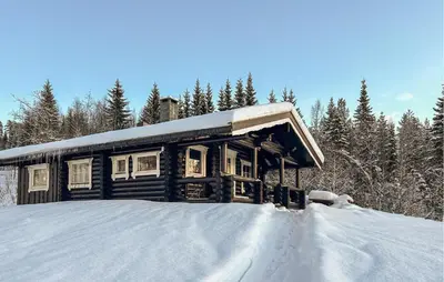 a log cabin in the snow with snow on the ground at Awesome Home In Nybergsund With Wifi in Nybergsund
