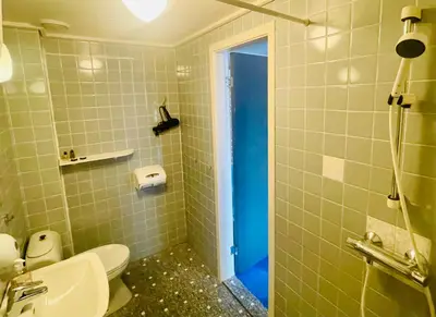 a bathroom with a toilet and a shower at Suldal Hotell in Sand