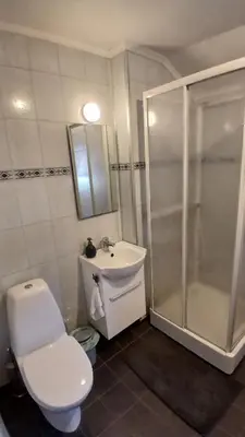 a bathroom with a shower and a toilet and a sink at The house by the waterfall in Breim