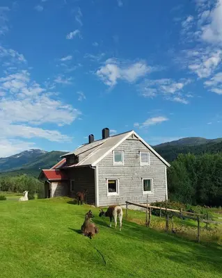 a barn with two animals standing in the grass in front at Llama Lodge 8 beds 4 Bedrooms in Kleivane