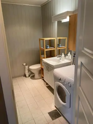 a bathroom with a washing machine and a sink at Leilighet i Fageråsen, Trysil, med ski inn og ut in Trysil