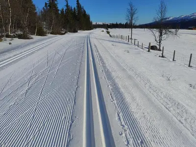 a snowy road with tire tracks in the snow at Synnseter in Lii