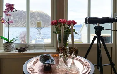 a table with a camera and flowers in a window at Beach Front Home In Rovde With Wifi in Rovde