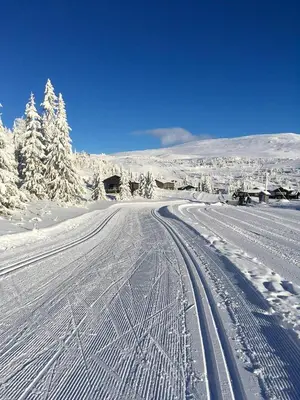 a snow covered road with tracks in the snow at Cabin By Main Ski Trail At Norefjell in Eggedal