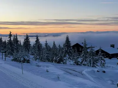 a view of a snow covered forest with a house at Family Cabin With Views Of Jotunheimen in Øyer