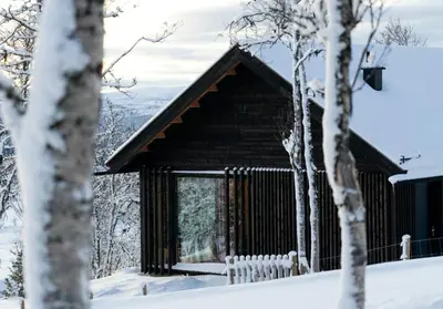 a log cabin in the snow with trees at Architect-Designed Cabin With Ski Trail Near Geilo in Ål