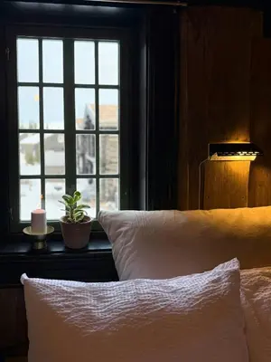 a bedroom with a bed and a window with a plant at Loft Apartment With Ski Access In Trysil in Trysil