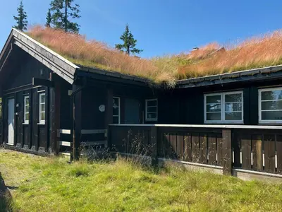 a black house with a grass roof at Cabin With Sauna By Ski Trails In Skeikampen in Svingvoll