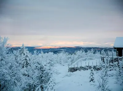 a snow covered field with trees and mountains in the distance at Cabin With Panoramic Views Of Jotunheimen in Gålå