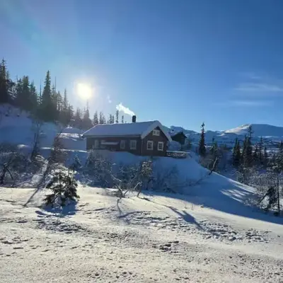 Mountain Cabin With Ski Access In Høgevarde