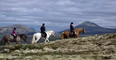 three people are riding horses on a hill at Log Cabin With Panoramic Views At Skeikampen in Svingvoll