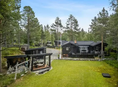 an aerial view of a black house in the woods at Family-Friendly Cabin With Zipline Near Oppdal in Rennebu