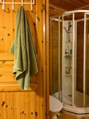 a bathroom with a shower and a green towel at Cabin On Hilltop With Beach And Sea Views in Bekkjarvik