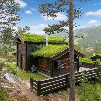 Charming cabin by Hallingskarvet ski center