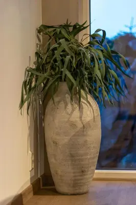 a plant in a vase sitting on a floor at Modern Fishing Cabin With Sea View At Kalvaneset in Bergen
