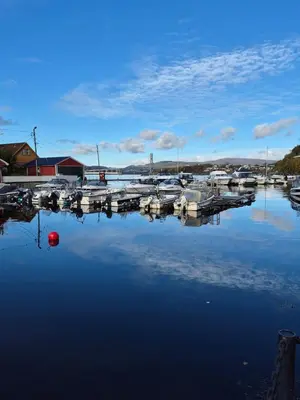 a marina with boats parked in the water at Salhusvegen in Bergen
