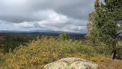 a rock on the side of a hill with trees at Fjellhytte med boblebad og utsikt på Blefjell in Flesberg