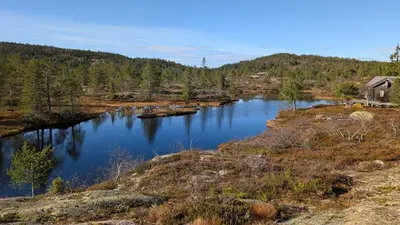 a lake in the middle of a field with trees at Fjellhytte med boblebad og utsikt på Blefjell in Flesberg