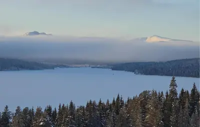 a view of a lake in the middle of a forest at Gorgeous Home In Gålå With House A Mountain View in Gålå