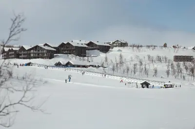 a group of people skiing down a snow covered slope at Kikut1010 Skurdalsvegen 107 in Hol
