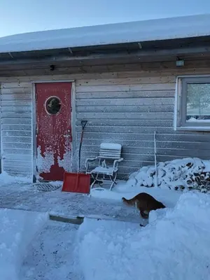 a cat standing outside of a house with a red door at Cottage With Sunny Terraces And Sea Views in Lysøysund