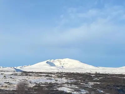 a snow covered mountain in the middle of a field at Live in the realm of the musk oxen on Dovrefjell in Hjerkinn