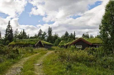 a dirt road next to houses with grass roofs at Idyllisk feriested in Gol
