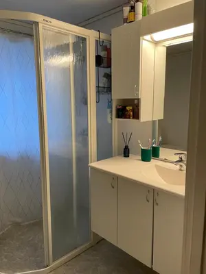 a bathroom with a shower and a sink and a mirror at Bolig på Kaupanger in Kaupanger