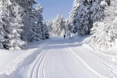a person skiing down a snow covered road with trees at Modern family cabin with ski in out, central location in Beitostølen in Beitostøl
