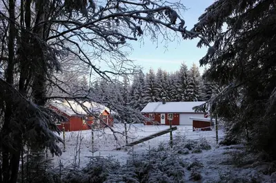 Gallery image of Landlig, koselig gjestehus in Ringsaker
