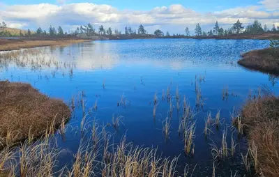 a large blue lake with grass in the foreground at Beautiful Home In Lampeland With Sauna in Lampeland
