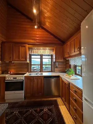 a kitchen with wooden cabinets and a sink and a refrigerator at Cosy cabin in Eggedal