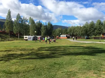 a group of people standing in a field with a tree at Furuly Camping in Nordberg