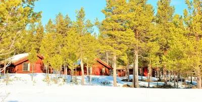 a log cabin in the woods with snow and trees at Sjodalen Hyttetun og Camping in Stuttgongfossen